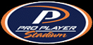 Pro Player Stadium